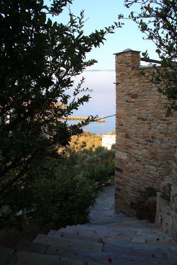 Cozy Guesthouse - Agios Romanos Exterior photo
